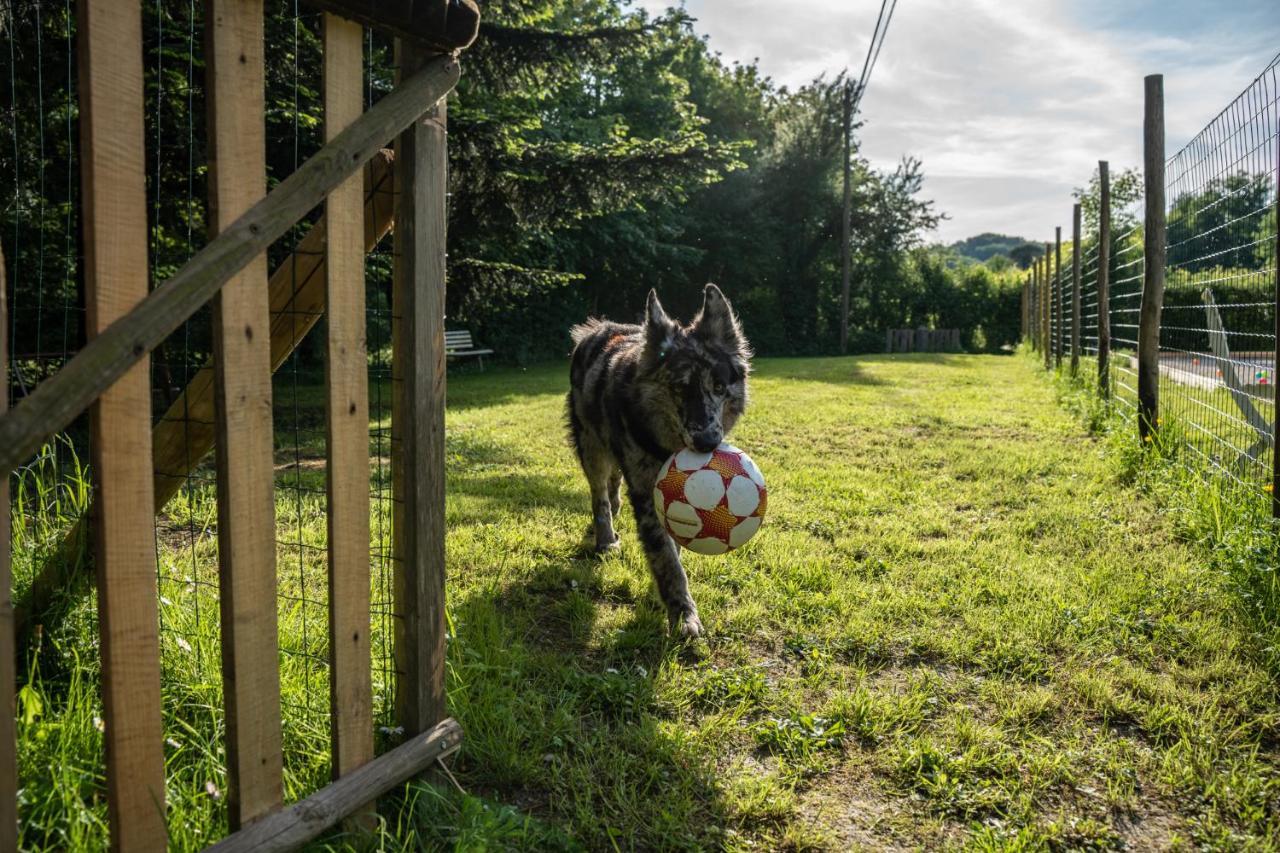 Il Giaggiolo Villa Reggello Eksteriør billede