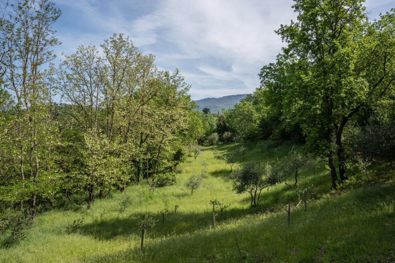 Il Giaggiolo Villa Reggello Eksteriør billede